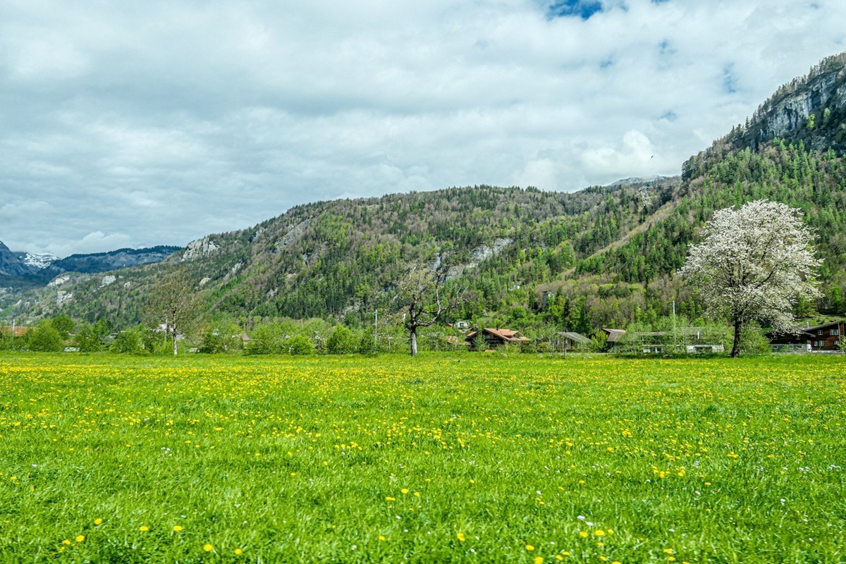 行摄（瑞士乡间）