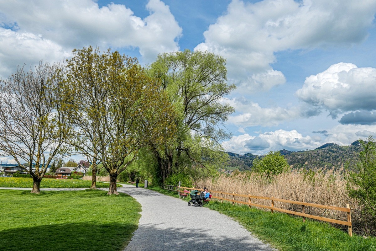 行摄（瑞士乡间）