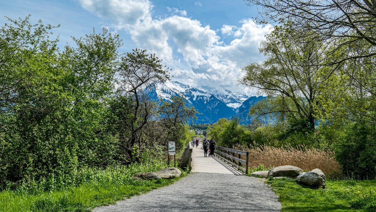行摄（瑞士乡间）