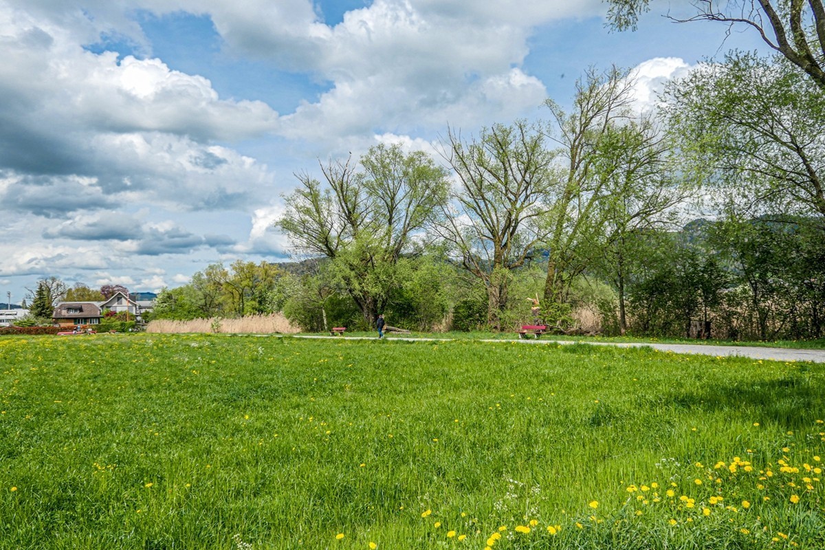 行摄（瑞士乡间）
