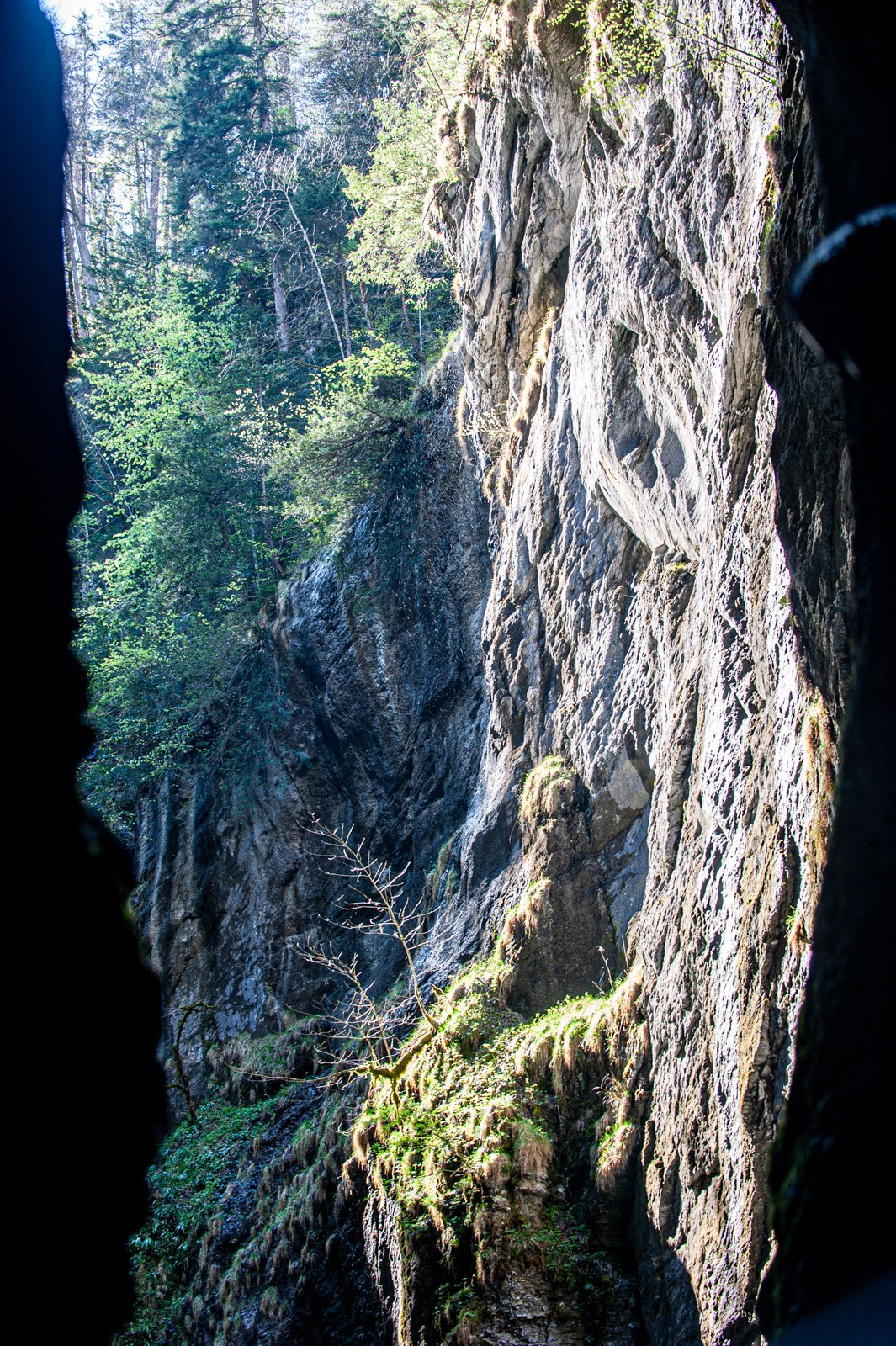 最窄之--“阿尔皮斯山大峡谷”（瑞士）