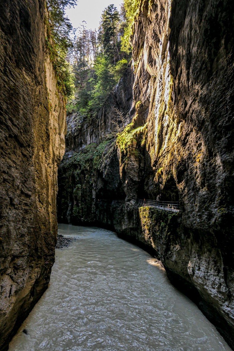 最窄之--“阿尔皮斯山大峡谷”（瑞士）