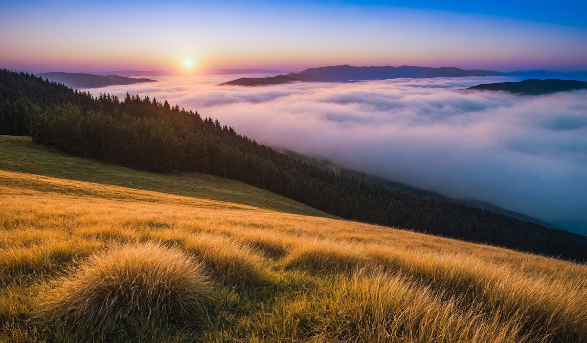 心灵的洗礼与重生