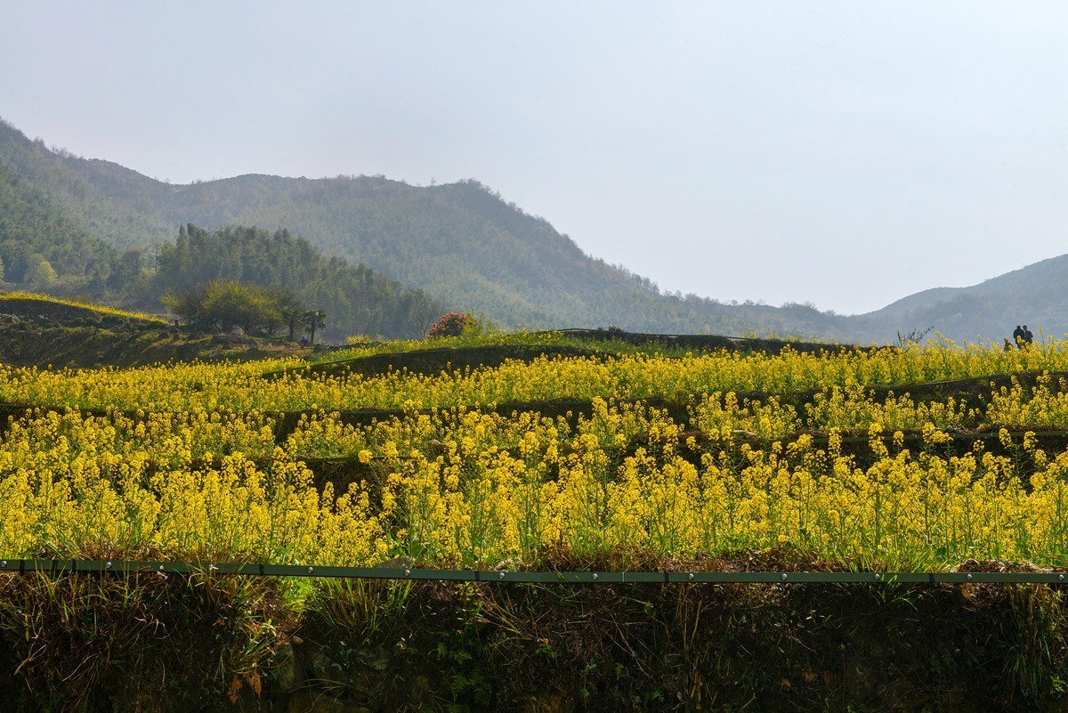 覆卮山景区（上）