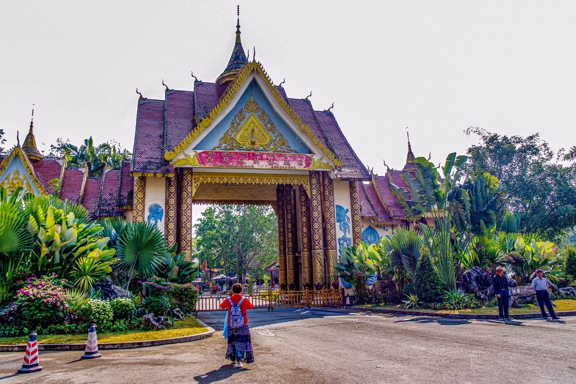 西双版纳--橄榄坝【1】