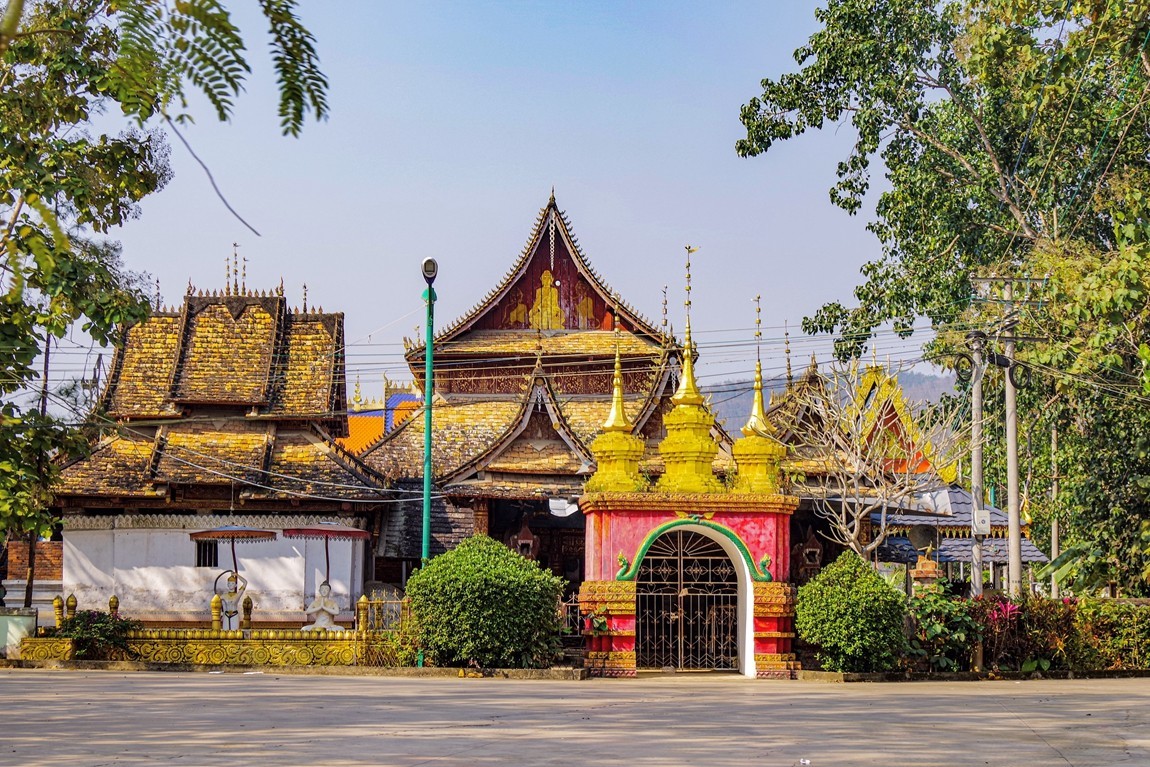 西双版纳--橄榄坝【1】