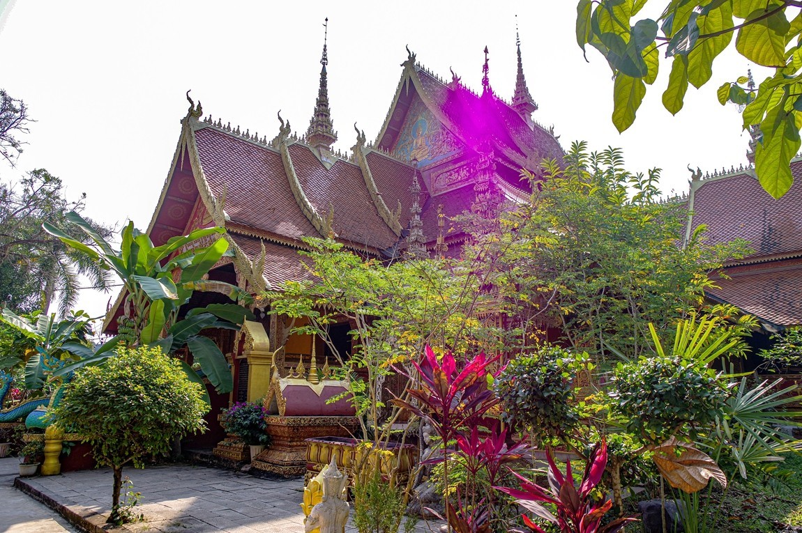 西双版纳--橄榄坝【1】