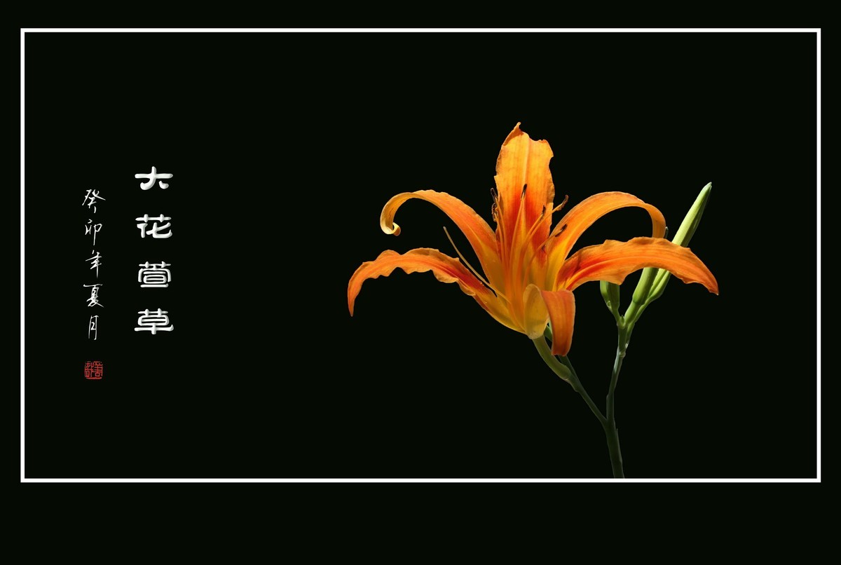 世上常有愁苦人，草尖独放忘忧花