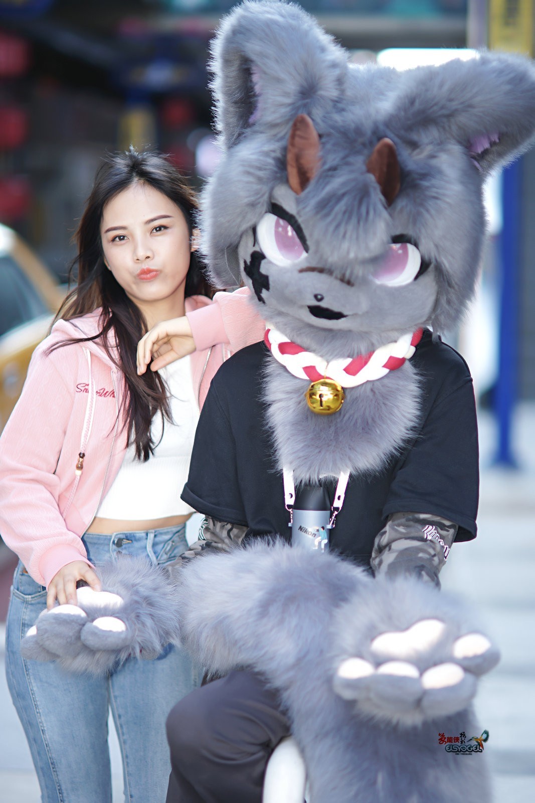 【蓝猫与美女】---浩浩、芳芳