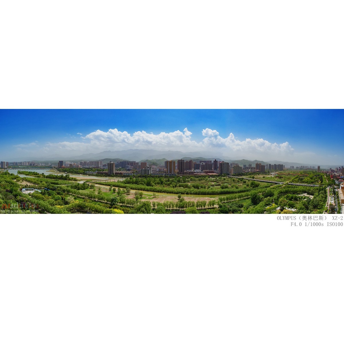 悄悄来临的夏意