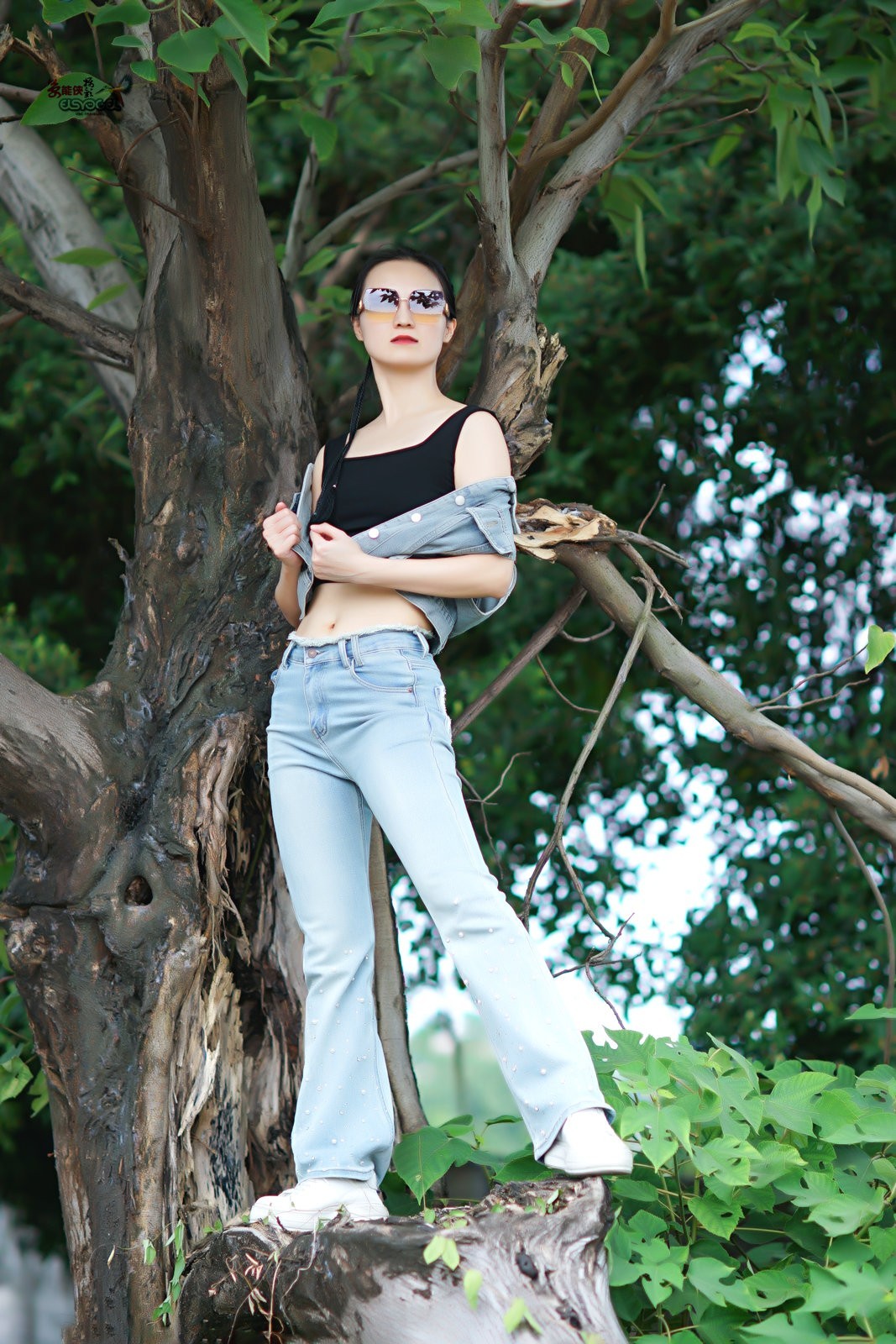 【树上酷女】---沛阳