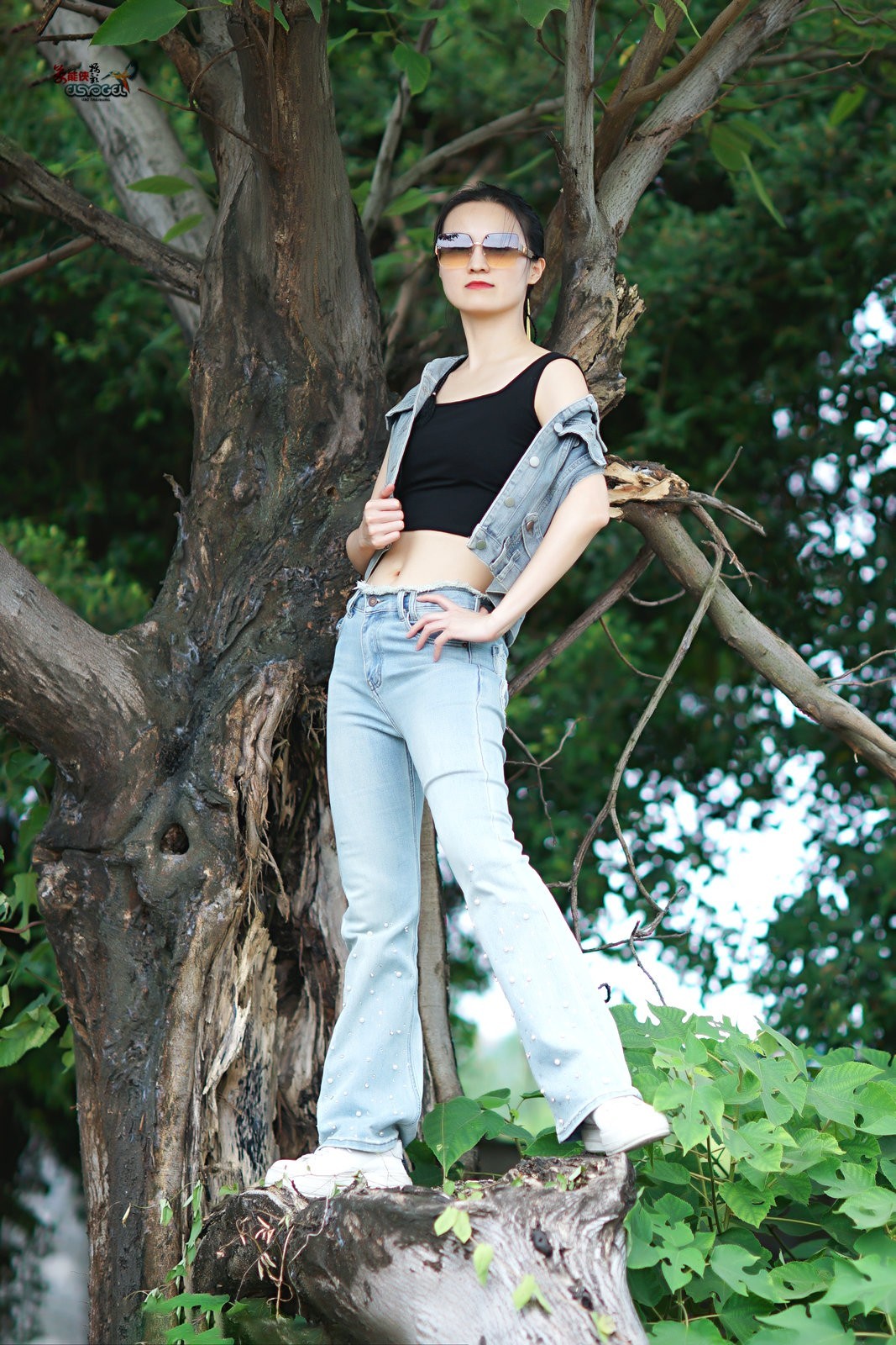 【树上酷女】---沛阳