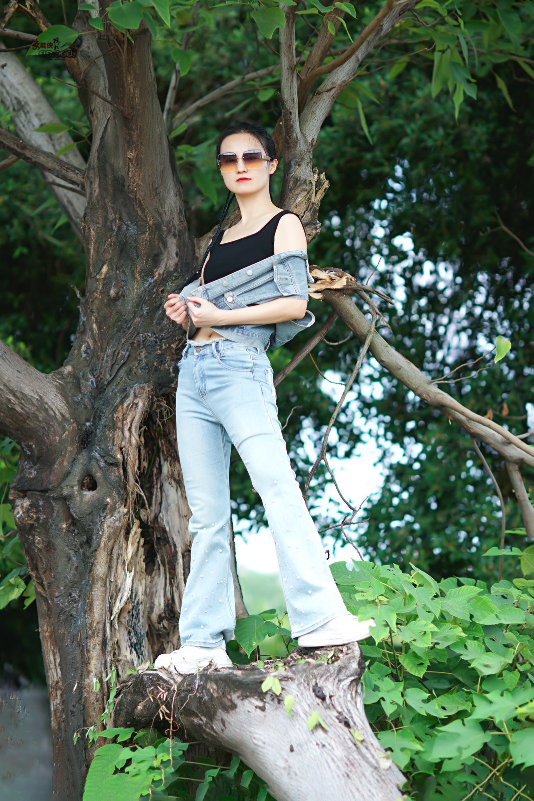 【树上酷女】---沛阳