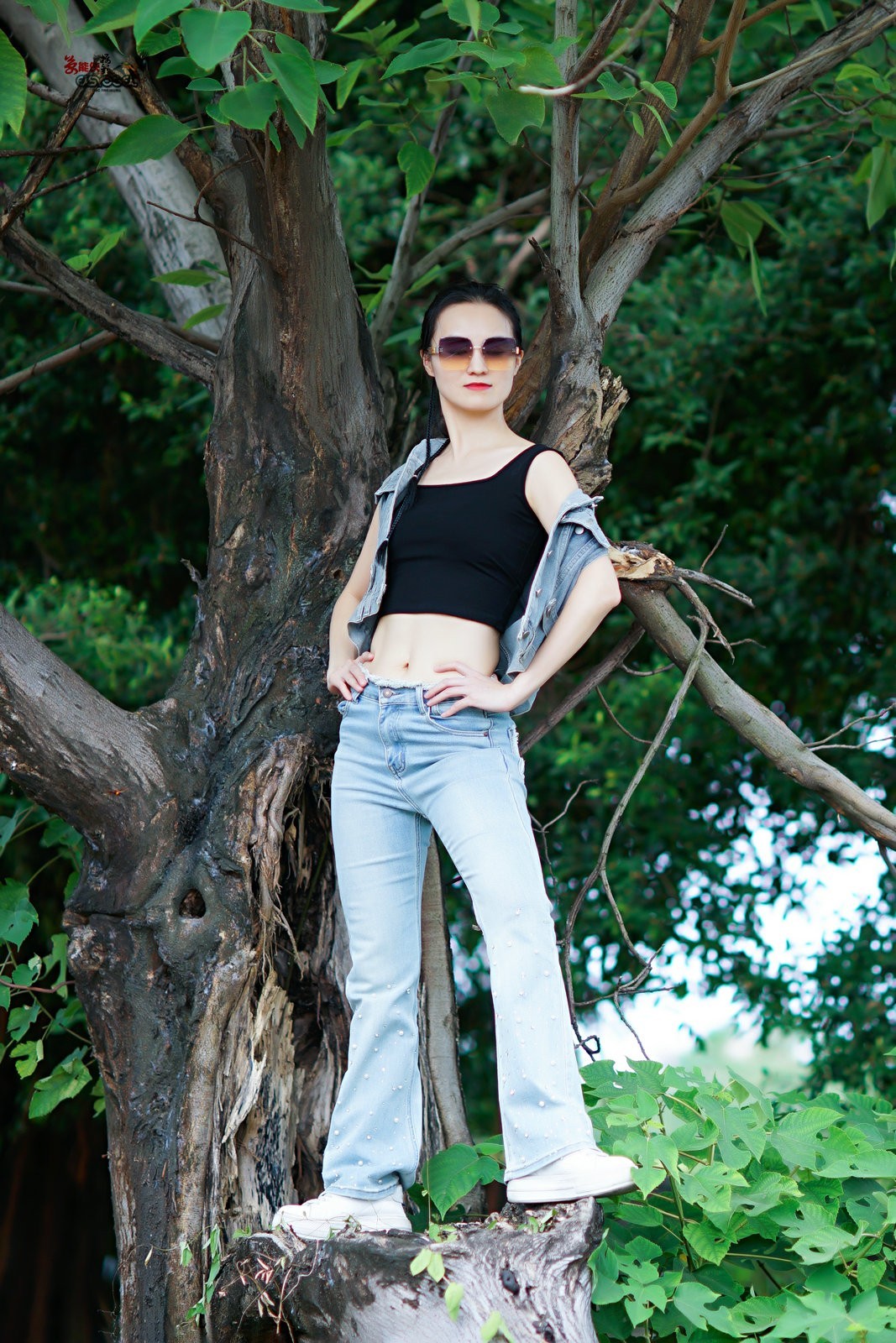 【树上酷女】---沛阳