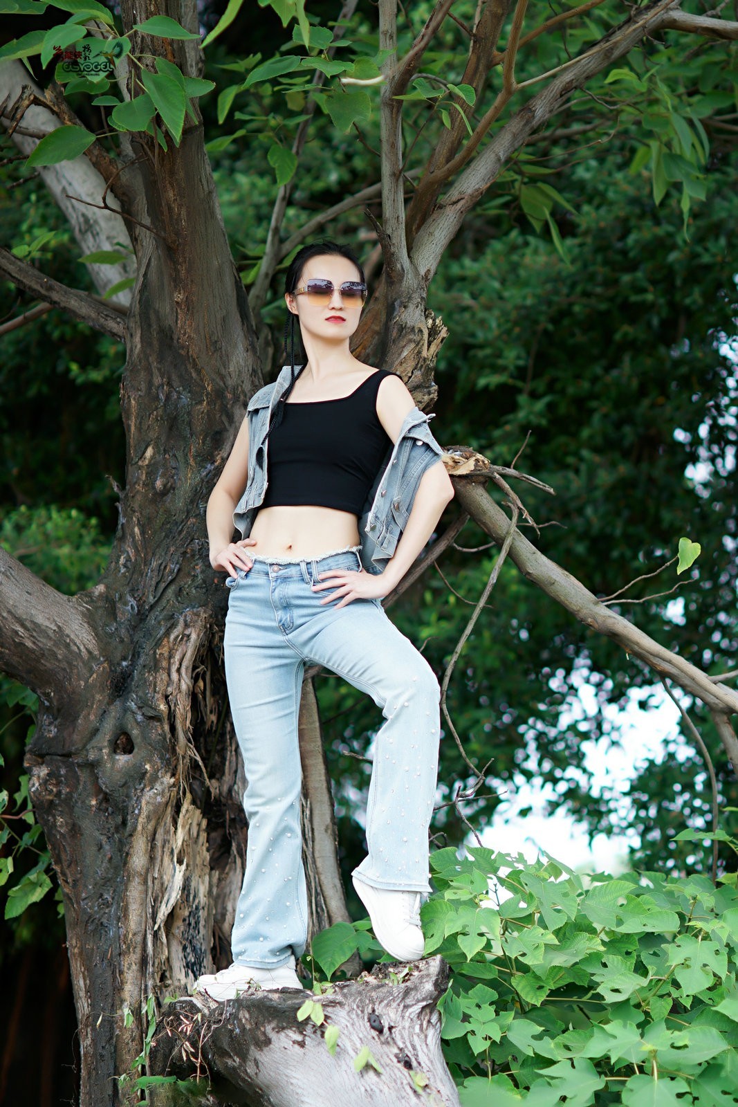 【树上酷女】---沛阳