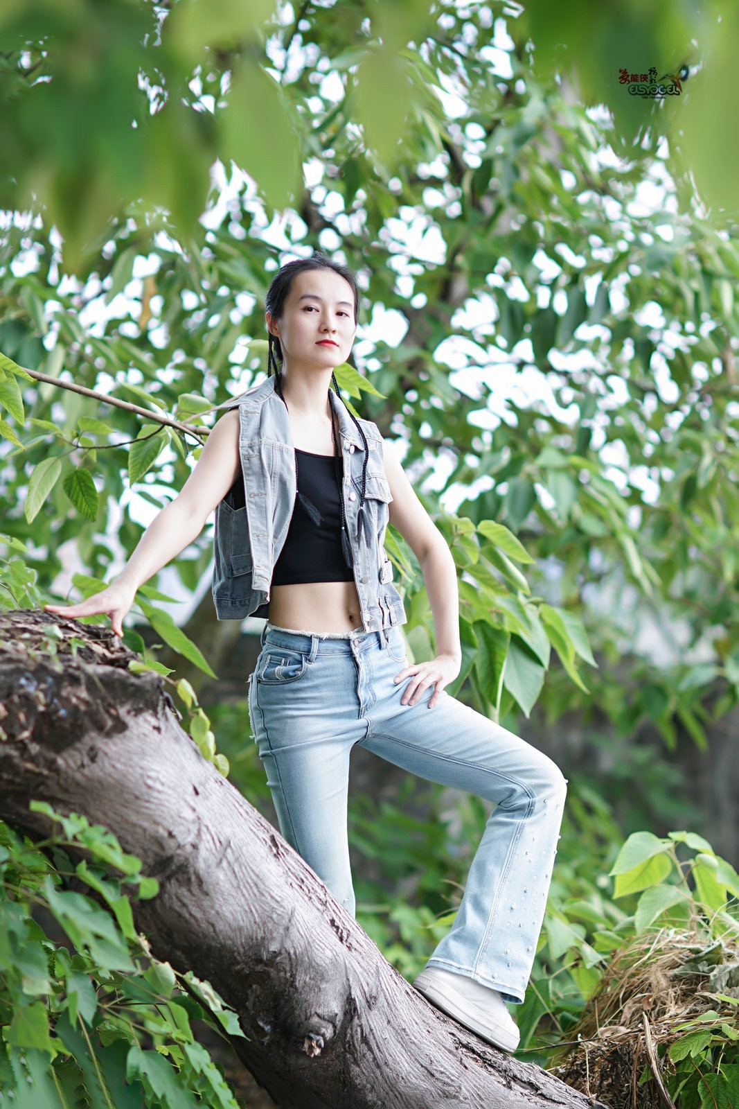 【树上酷女】---沛阳