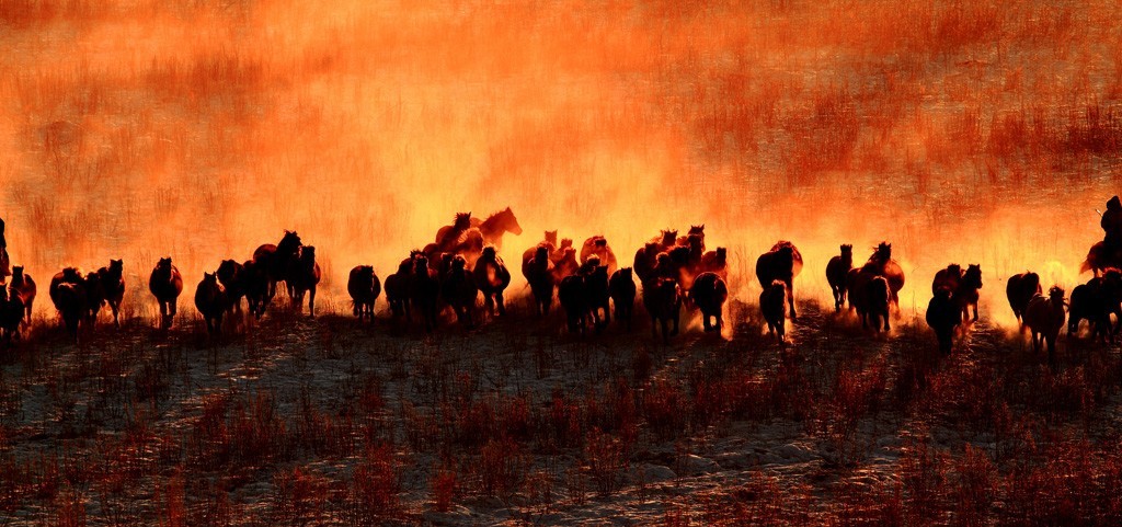 我的草原，我的乌兰布统