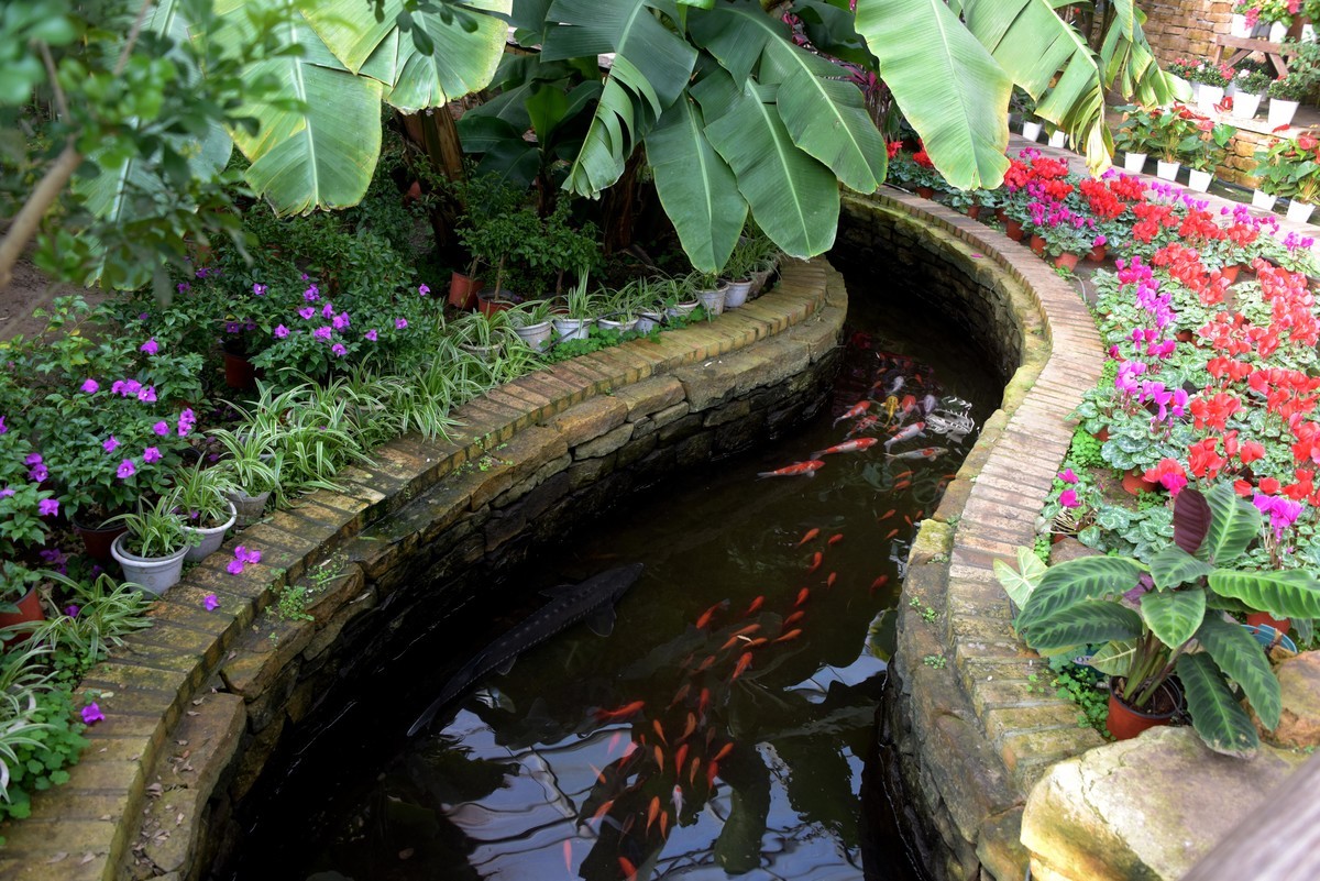 北方生态园内的南国园林景观（续）