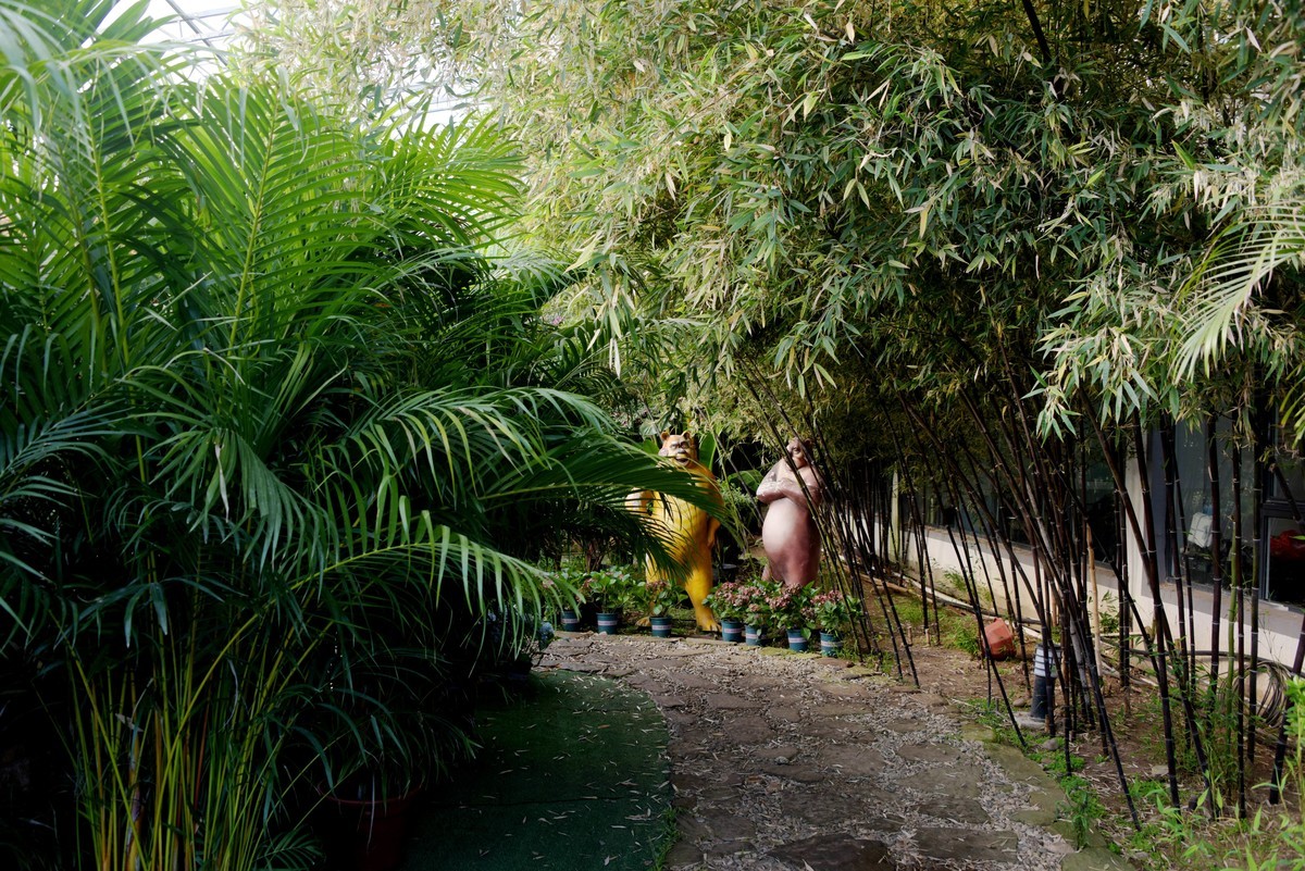 北方生态园内的南国园林景观（续）