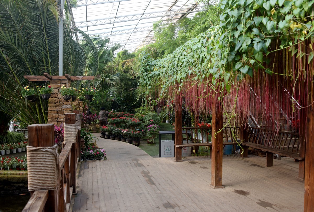 北方生态园内的南国园林景观（续）