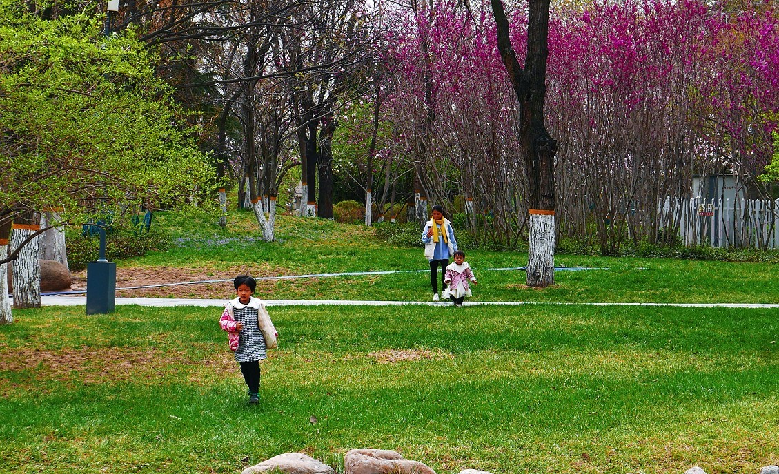 典型的街拍抓拍《风景，花草，白猫当然有妹子了》啥都有！哈哈！