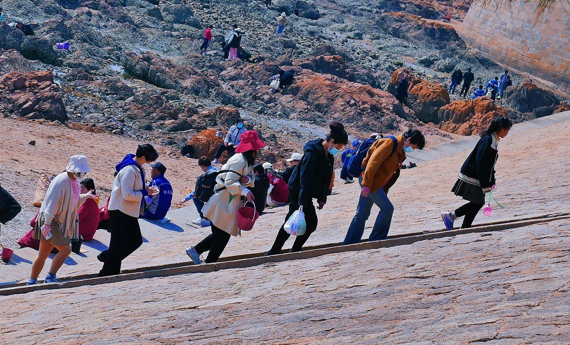 典型的街拍抓拍《风景，花草，白猫当然有妹子了》啥都有！哈哈！
