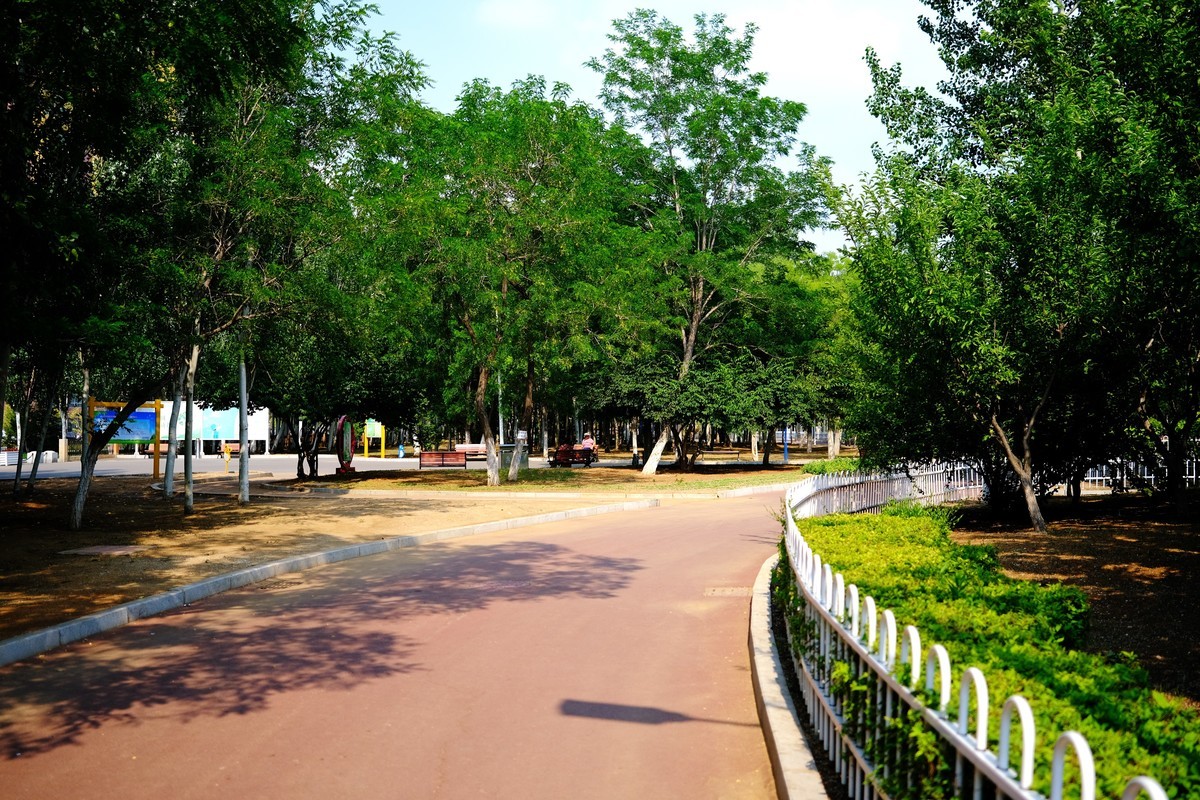 暑 假 抽 象 行 为