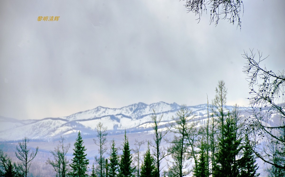 早春北疆之旅（47）：喀纳斯景区—3