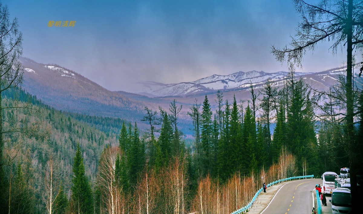 早春北疆之旅（47）：喀纳斯景区—3