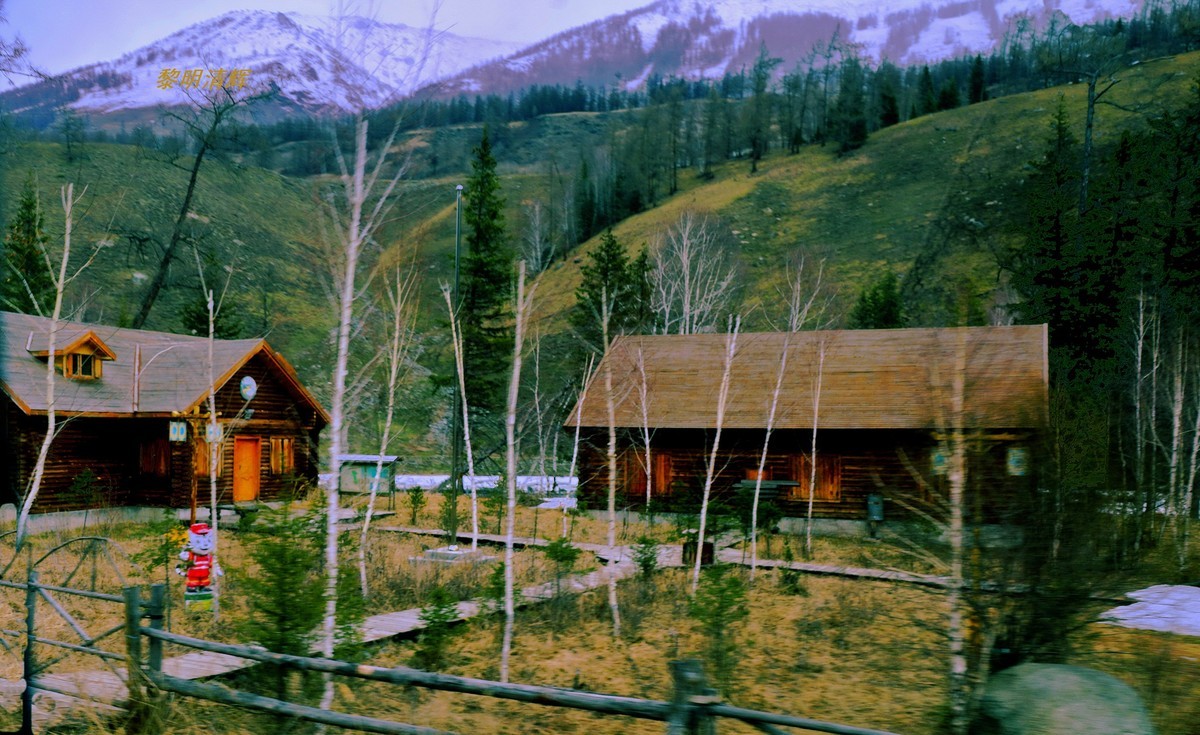 早春北疆之旅（47）：喀纳斯景区—3