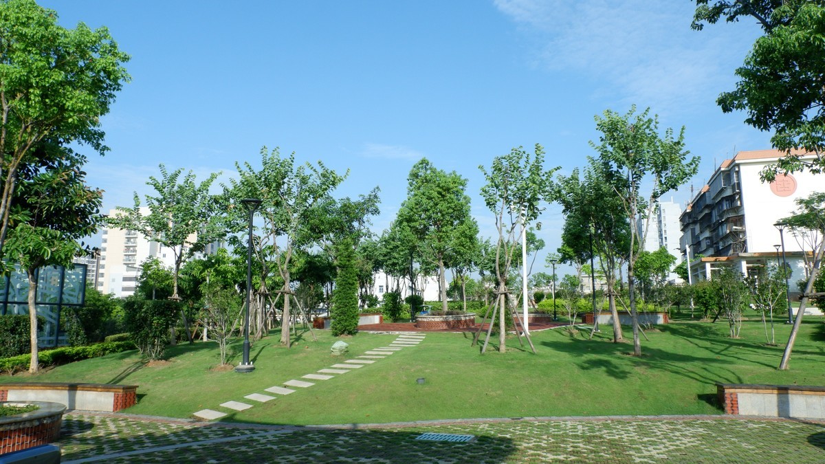 美丽的集美湾海边风光摄影机-26