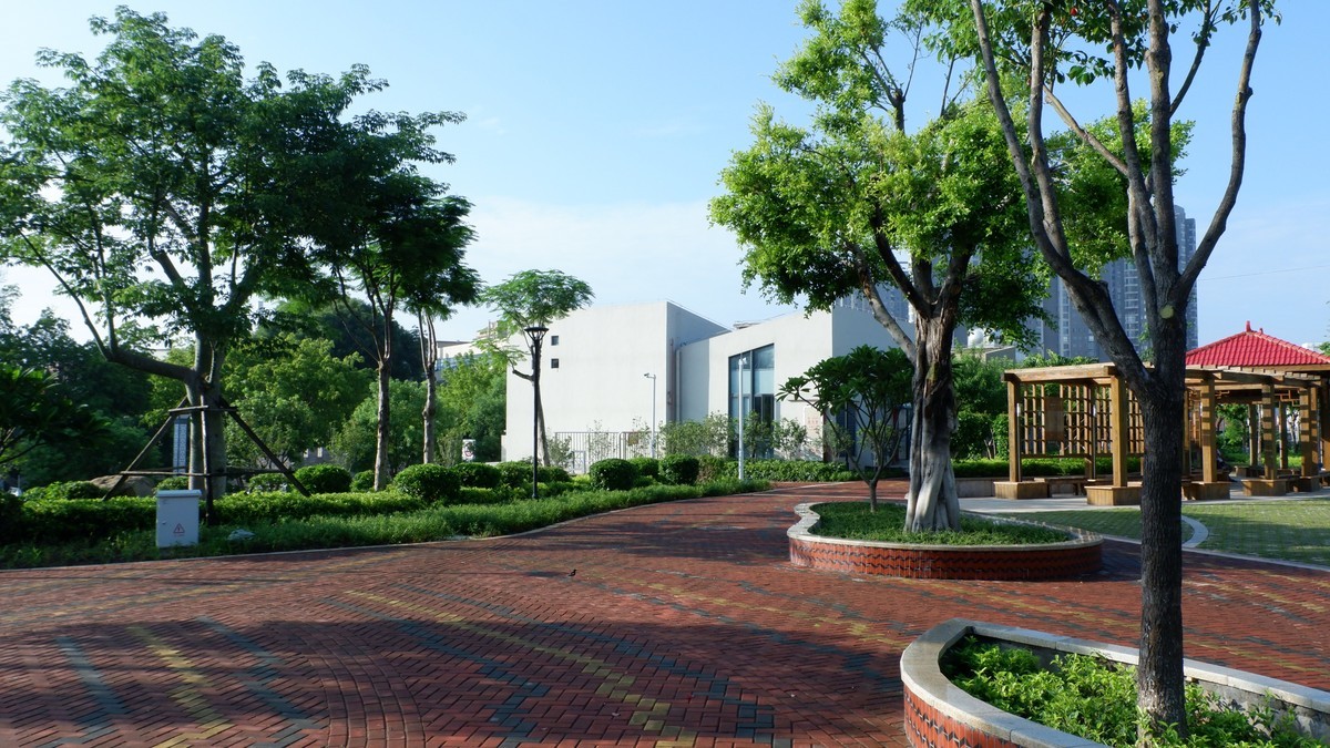 美丽的集美湾海边风光摄影机-26