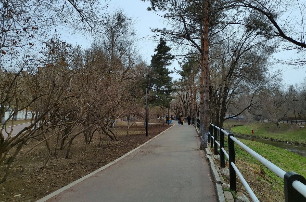 淡绿朦胧---4.20哈尔滨黛秀植物园   1/2