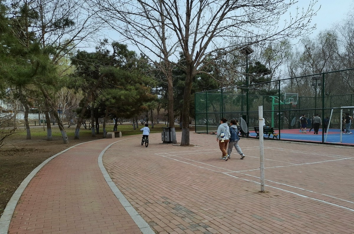 淡绿朦胧---4.20哈尔滨黛秀植物园   1/2