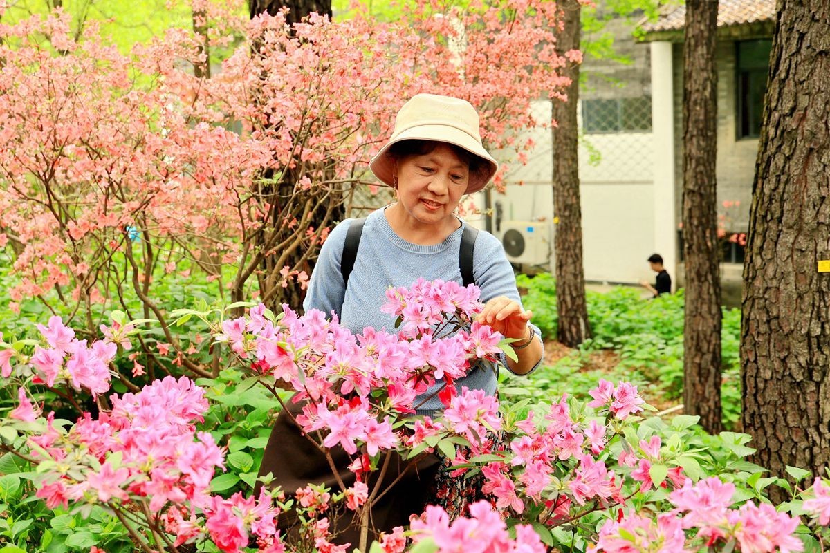 老婆婆逛杜鹃园