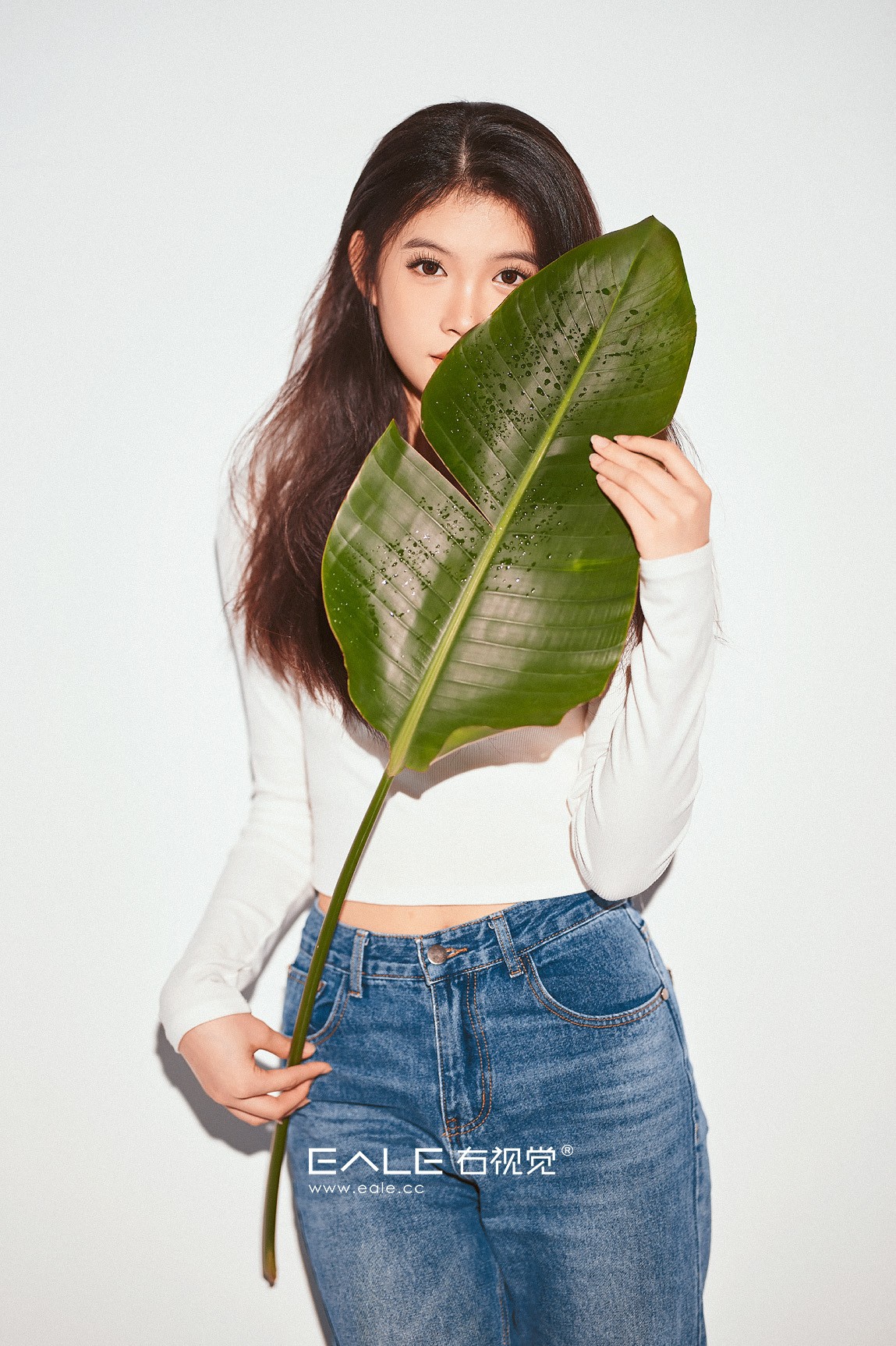 【右视觉摄影】清风 绿叶与雨丝  有灵魂的见组照