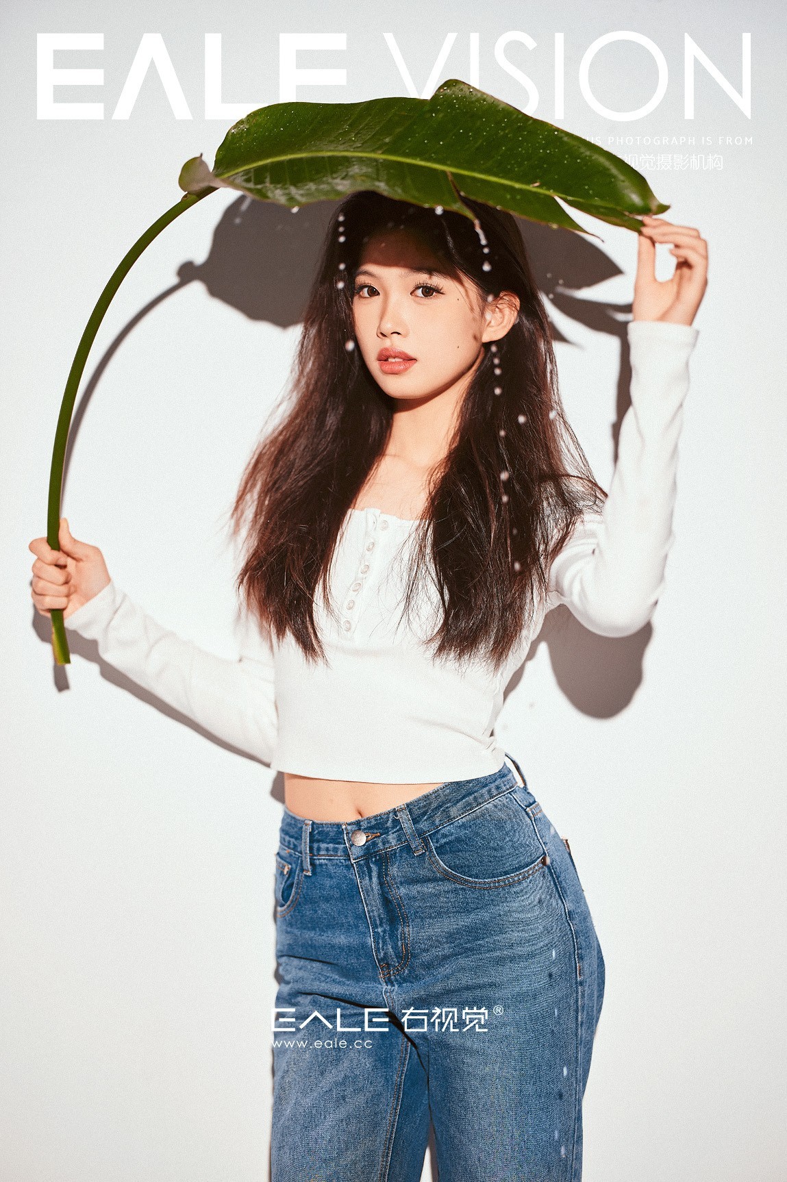 【右视觉摄影】清风 绿叶与雨丝  有灵魂的见组照