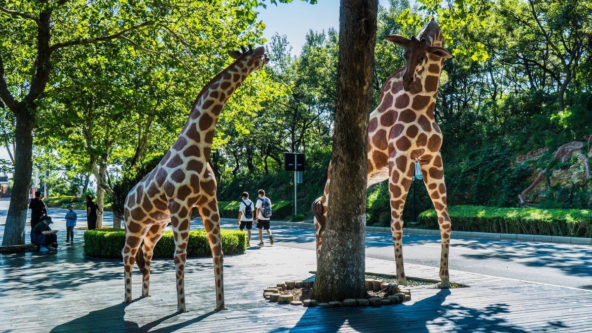 大 连 海 之 韵 十 八 盘