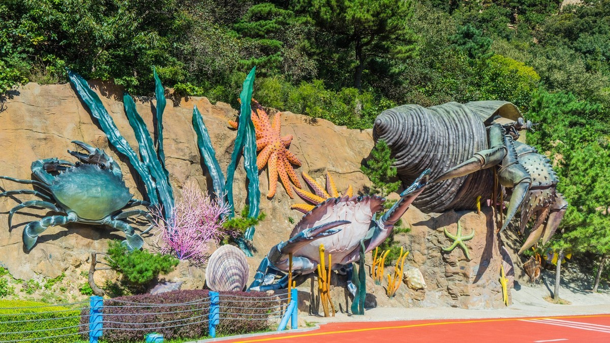 大 连 海 之 韵 十 八 盘