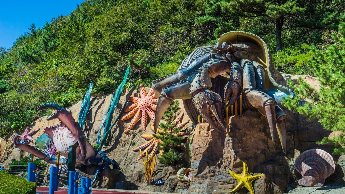 大 连 海 之 韵 十 八 盘