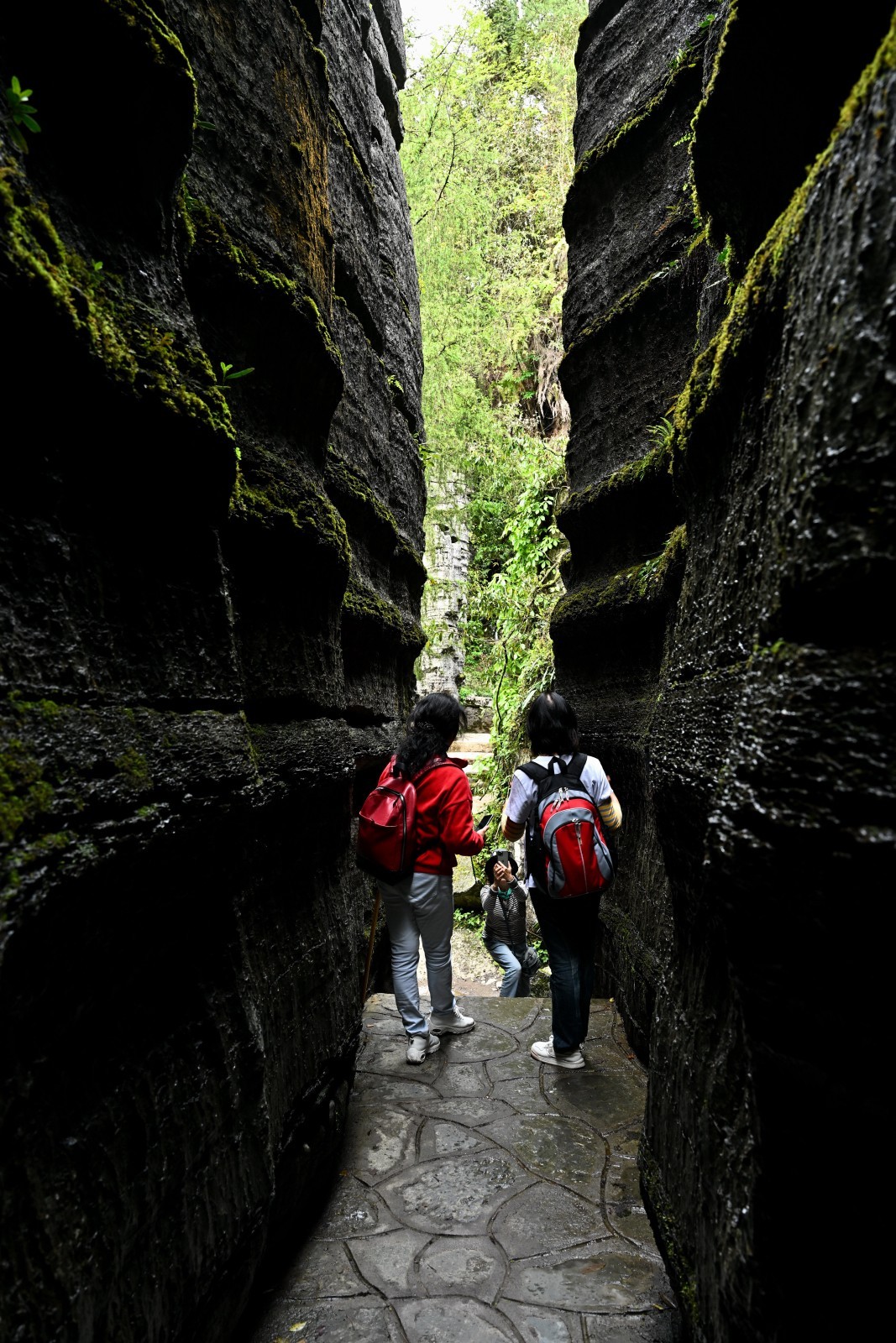 湖北游/恩施大峡谷梭布垭石林（5）