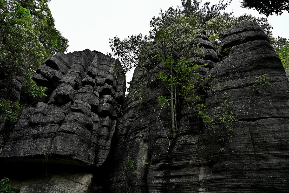 湖北游/恩施大峡谷梭布垭石林（5）
