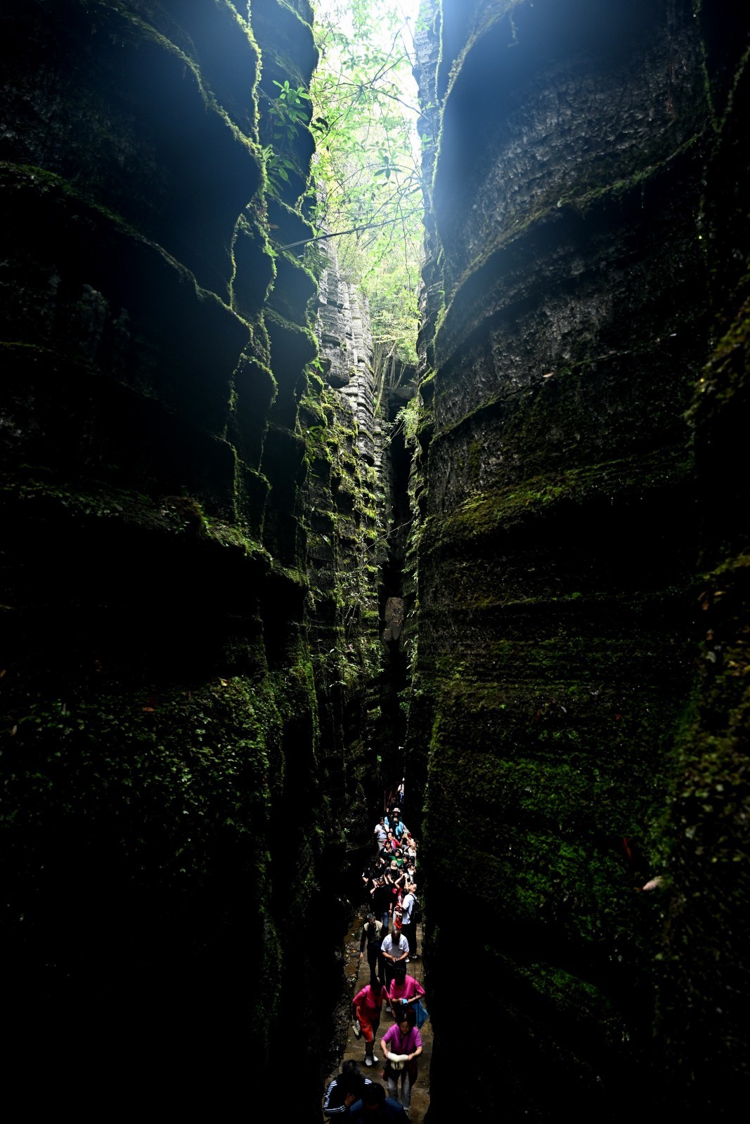 湖北游/恩施大峡谷梭布垭石林（5）