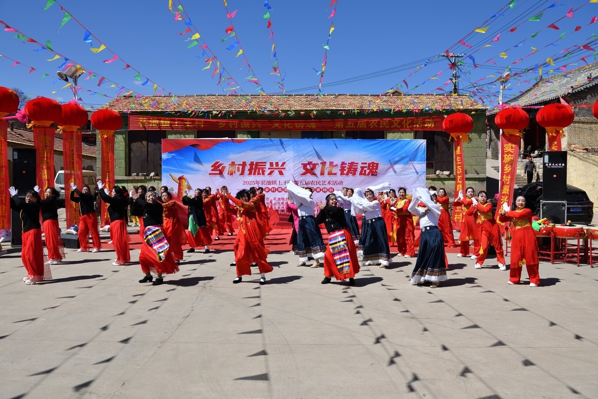 乡村振兴，文化铸魂--2025长池镇上王村第五届农民艺术活动（1）