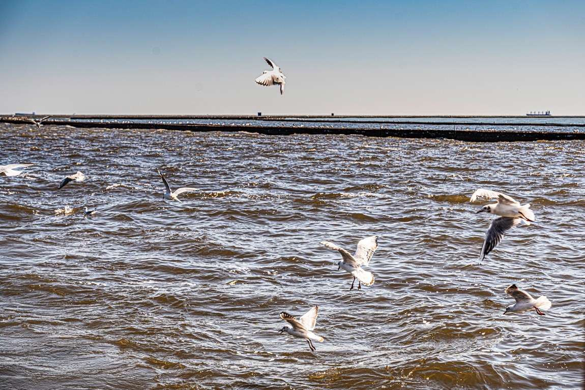 行摄河北--北戴河【8】