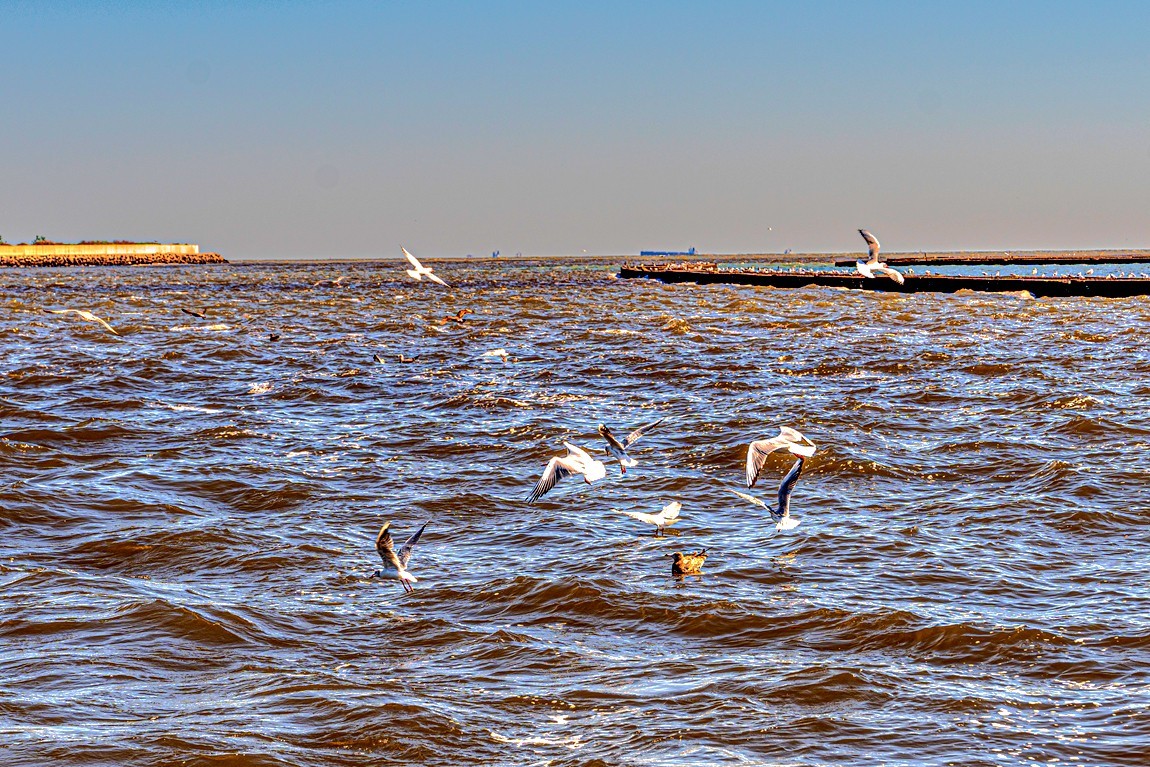 行摄河北--北戴河【8】