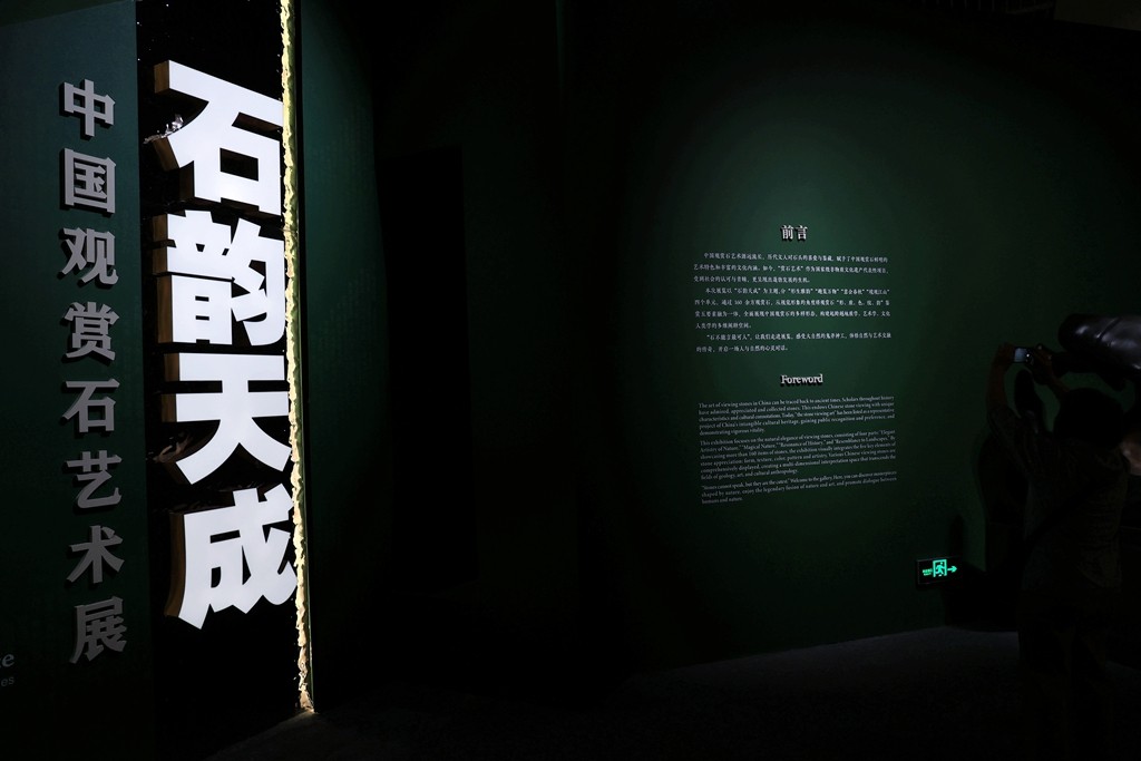 中国观赏石艺术展