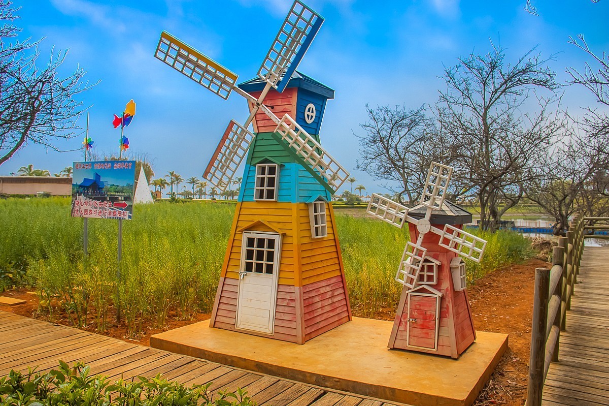 2025-06-01云南玉溪月亮湾公园花海（二）