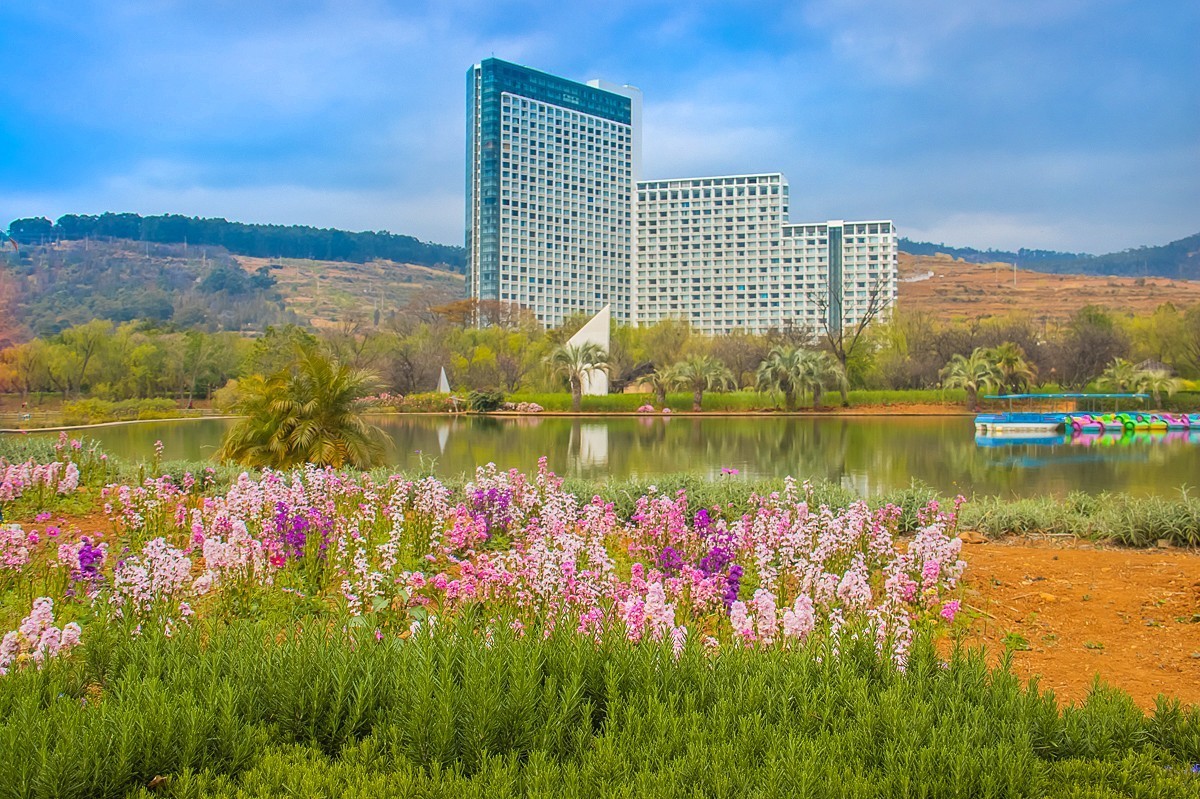 2025-06-01云南玉溪月亮湾公园花海（二）