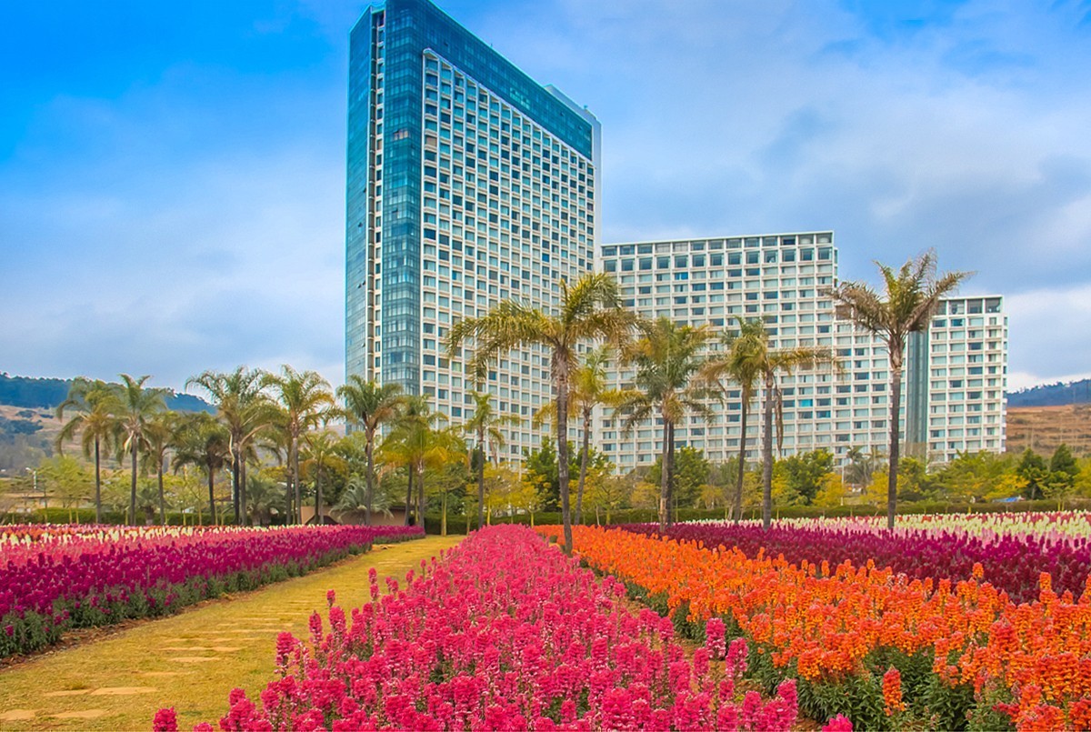 2025-06-01云南玉溪月亮湾公园花海（二）